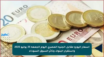 أسعار اليورو مقابل الجنيه المصري اليوم الجمعة 25 يوليو 2025 واستقرار البنوك وتأثر السوق السوداء